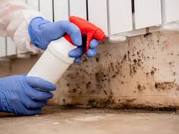 Best Basement Mold Removal  in Good Hope, CA